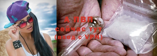 соль ск Беломорск